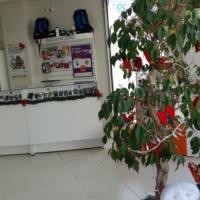 Natal 2013